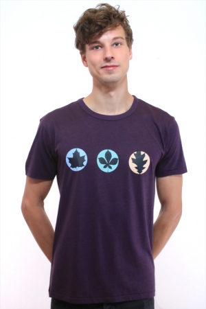 Preview: Ahornblatt, Kastanienblatt und Eichenblatt in farbigen Kreisen