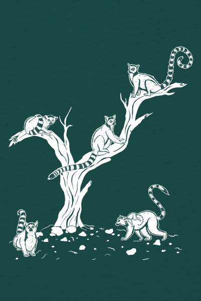 Lemurenbande mit Baum -Nahaufnahme